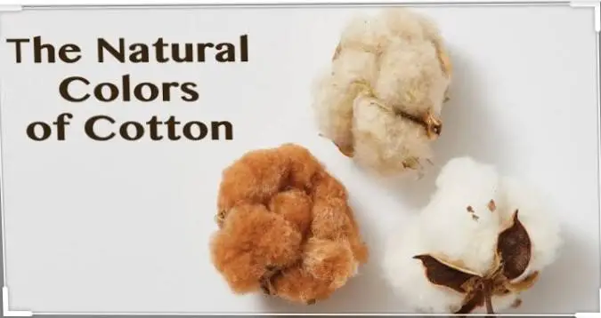 Naturally Colored Cotton