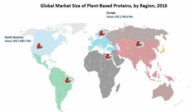 Global Market Of Plant Based Protein